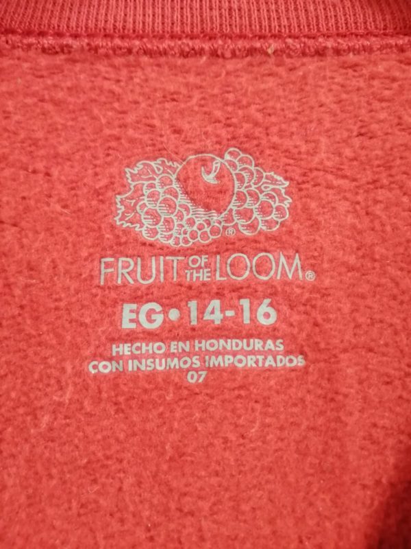 Sudadera FRUIT - Image 3